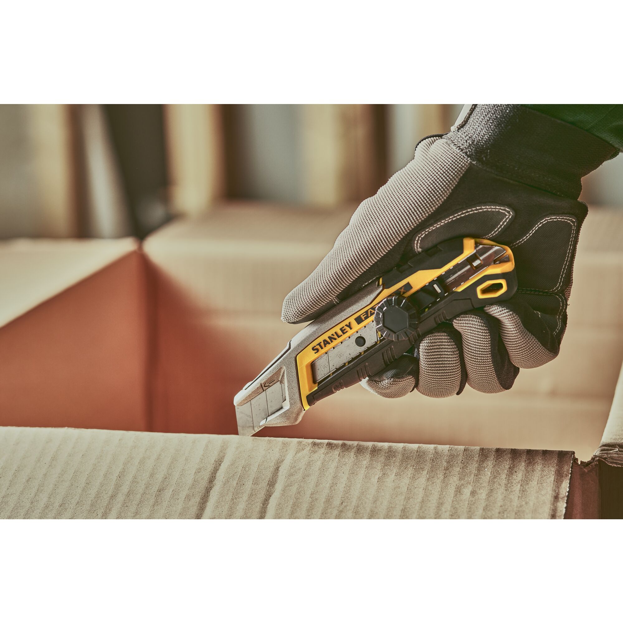 Fatmax 18 sales
